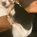 baby buster halliburton Gallery