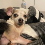 baby buster halliburton Gallery