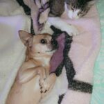 pinky  gracia Gallery