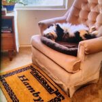 cupcake hamby Gallery