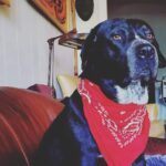 tiago kuykendall Gallery