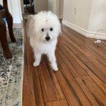 tj gutierrez Gallery