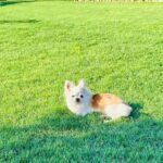 maggie mendez Gallery