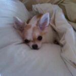 maggie mendez Gallery