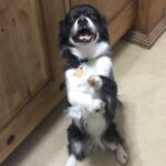 bootsie rose rodriguez Gallery