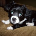 bootsie rose rodriguez Gallery