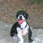 bootsie rose rodriguez Gallery