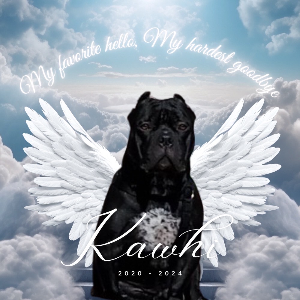 kawhi (big puppy) chavez