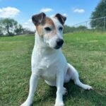 molly cabrera Gallery