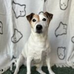 molly cabrera Gallery