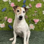 molly cabrera Gallery