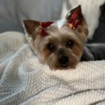 sissy nichols Gallery