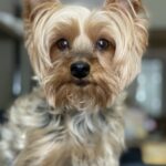 sissy nichols Gallery