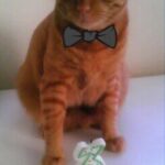 huey cisneros Gallery