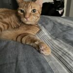 huey cisneros Gallery