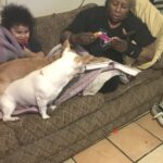 powder carter Gallery