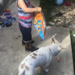 powder carter Gallery