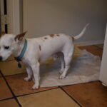 powder carter Gallery