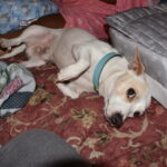 powder carter Gallery