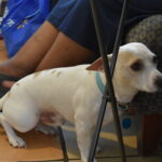 powder carter Gallery