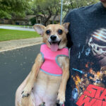 olivia rodriguez Gallery