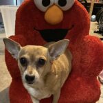 olivia rodriguez Gallery