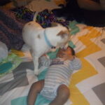 powder carter Gallery