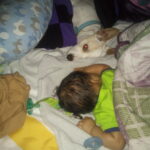 powder carter Gallery