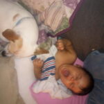 powder carter Gallery