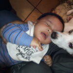 powder carter Gallery