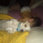 powder carter Gallery