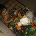 powder carter Gallery