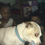 powder carter Gallery