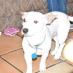 powder carter Gallery