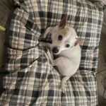 powder carter Gallery