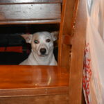 powder carter Gallery