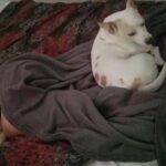 powder carter Gallery