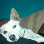 powder carter Gallery