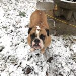 scarlett jones Gallery