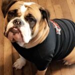 scarlett jones Gallery