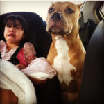 hugo martinez Gallery