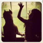 hugo martinez Gallery