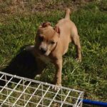 hugo martinez Gallery