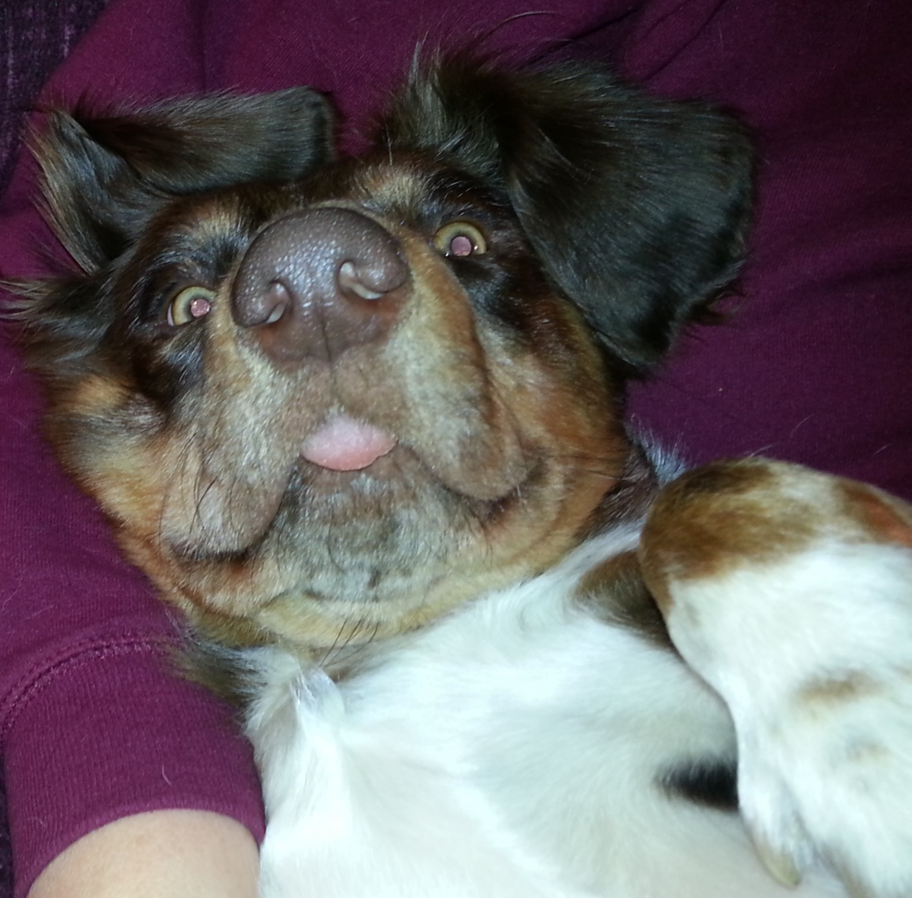 ruby jo hier