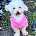 brown sugar martin Gallery