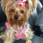 princess sena Gallery