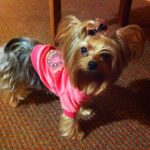 princess sena Gallery