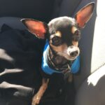 chiquita rodriguez Gallery