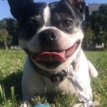 roxanne limes Gallery