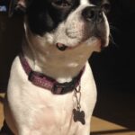 roxanne limes Gallery